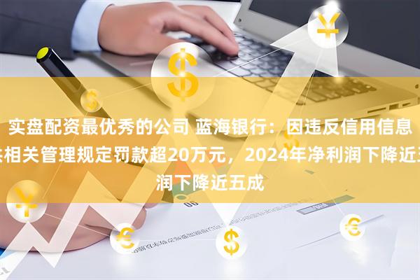 实盘配资最优秀的公司 蓝海银行：因违反信用信息提供相关管理规定罚款超20万元，2024年净利润下降近五成