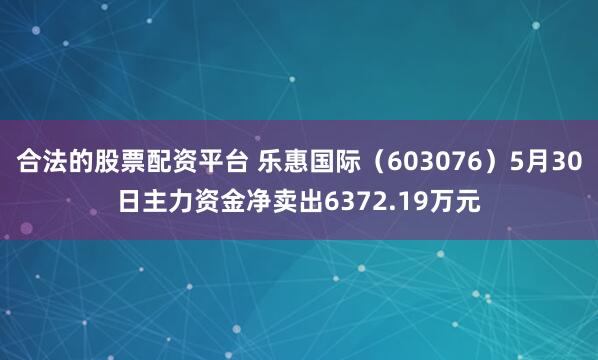 合法的股票配资平台 乐惠国际（603076）5月30日主力资金净卖出6372.19万元
