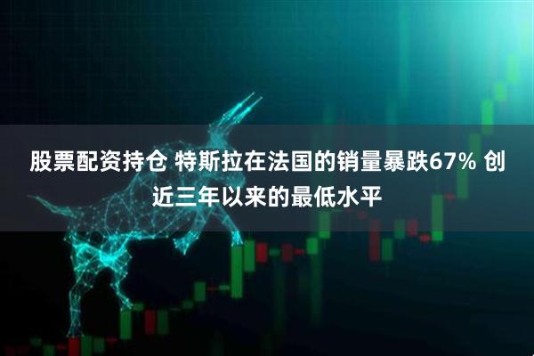 股票配资持仓 特斯拉在法国的销量暴跌67% 创近三年以来的最低水平
