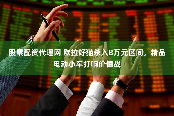 股票配资代理网 欧拉好猫杀入8万元区间，精品电动小车打响价值战